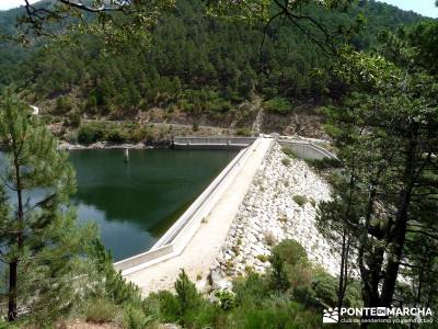 Pinares de la Angostura en Piedralaves;viajes mayo senderismo sierra madrid excursiones cerca madrid